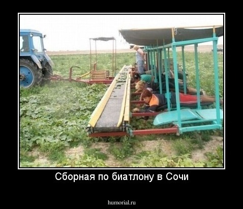 Сборная по биатлону в Сочи