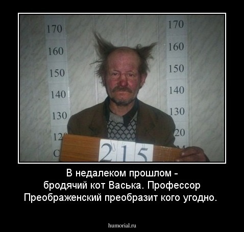В недалеком прошлом - бродячий кот Васька. Профессор Преображенский преобразит кого угодно. 