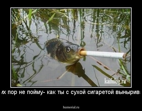 - до сих пор не пойму- как ты с сухой сигаретой выныриваешь?