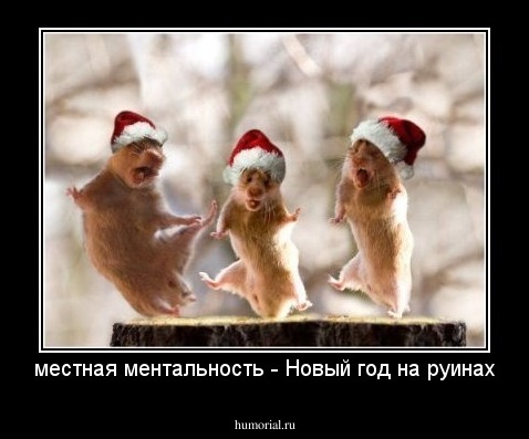 местная ментальность - Новый год на руинах