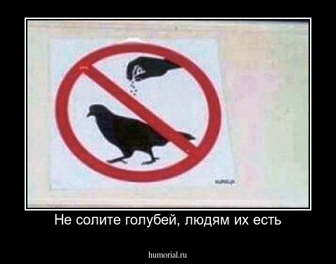 Не солите голубей, людям их есть