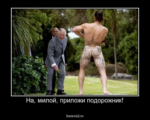На, милой, приложи подорожник!