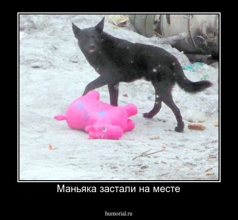 Маньяка застали на месте