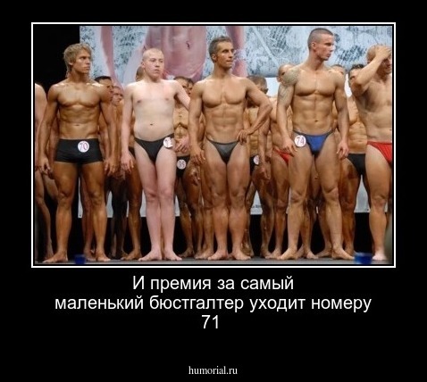 И премия за самый маленький бюстгалтер уходит номеру 71