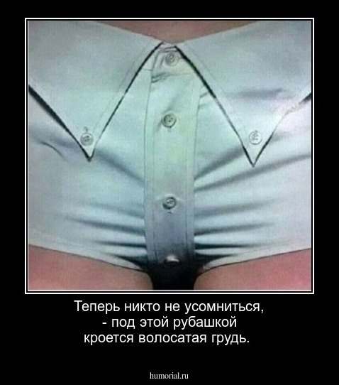 Теперь никто не усомниться, - под этой рубашкой кроется волосатая грудь.