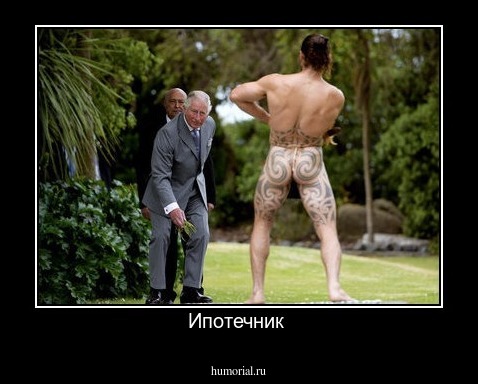Ипотечник 