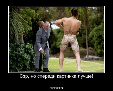 Сэр, но спереди картинка лучше!