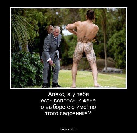 Алекс, а у тебя есть вопросы к жене о выборе ею именно этого садовника?