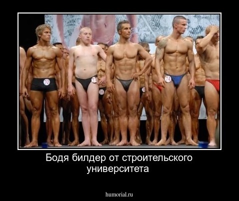 Бодя билдер от строительского университета