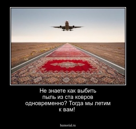 Не знаете как выбить пыль из ста ковров одновременно? Тогда мы летим к вам!