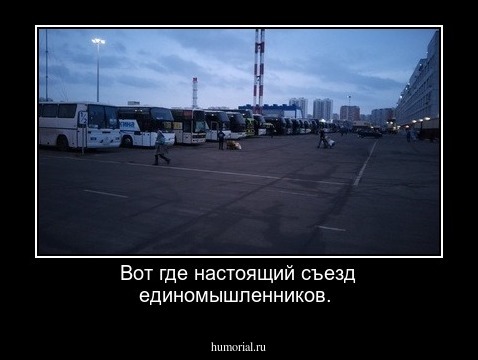Вот где настоящий съезд единомышленников.
