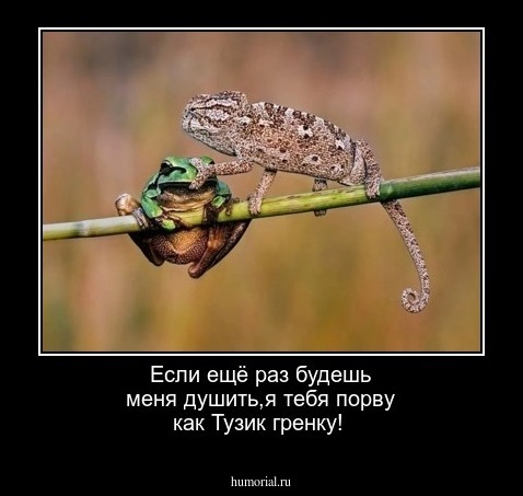 Если ещё раз будешь меня душить,я тебя порву как Тузик гренку! 