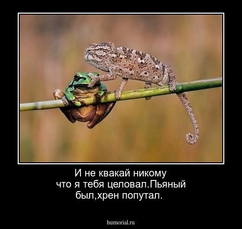 И не квакай никому что я тебя целовал.Пьяный был,хрен попутал.