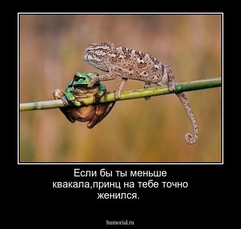Если бы ты меньше квакала,принц на тебе точно женился.