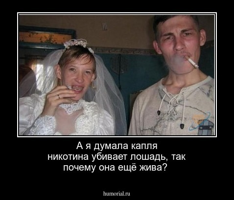 А я думала капля никотина убивает лошадь, так почему она ещё жива? 