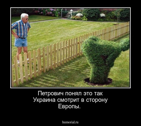 Петрович понял это так Украина смотрит в сторону Европы.