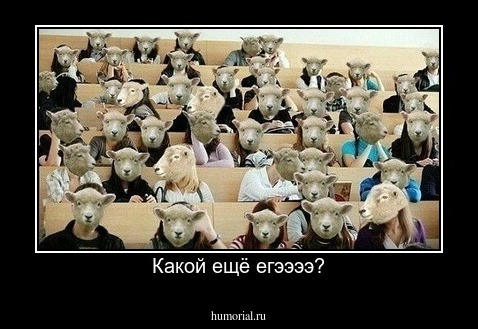 Какой ещё егээээ?