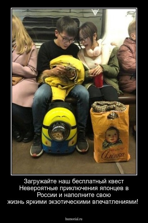 Загружайте наш бесплатный квест Невероятные приключения японцев в России и наполните свою жизнь яркими экзотическими впечатлениями!