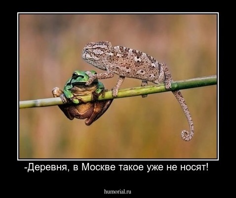 -Деревня, в Москве такое уже не носят! 