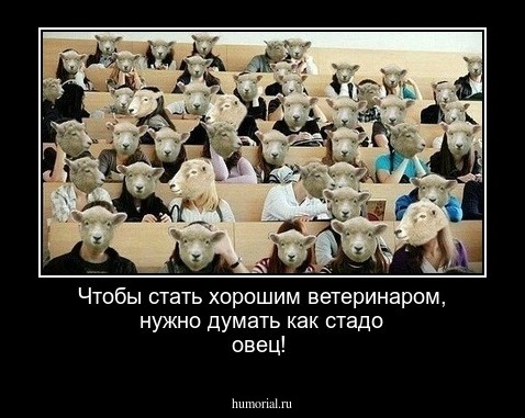 Чтобы стать хорошим ветеринаром, нужно думать как стадо овец!