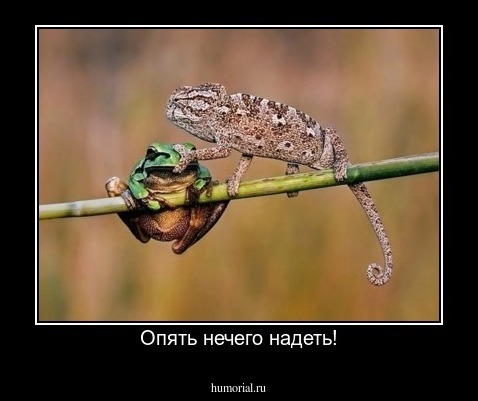 Опять нечего надеть!