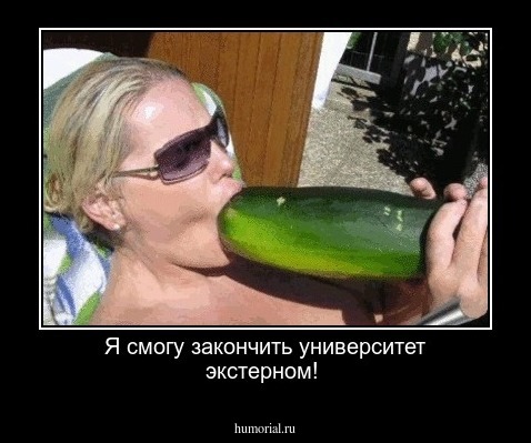 Я смогу закончить университет экстерном! 