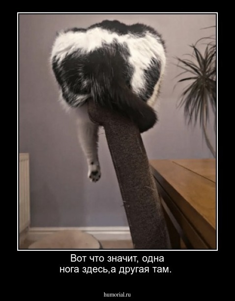 Вот что значит, одна нога здесь,а другая там.
