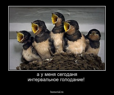 а у меня сегоданя интервальное голодание!
