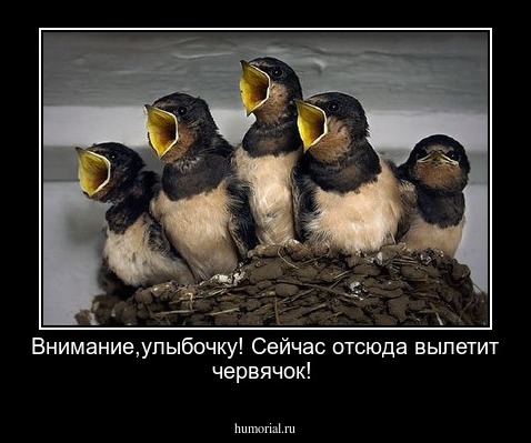Внимание,улыбочку! Сейчас отсюда вылетит червячок!