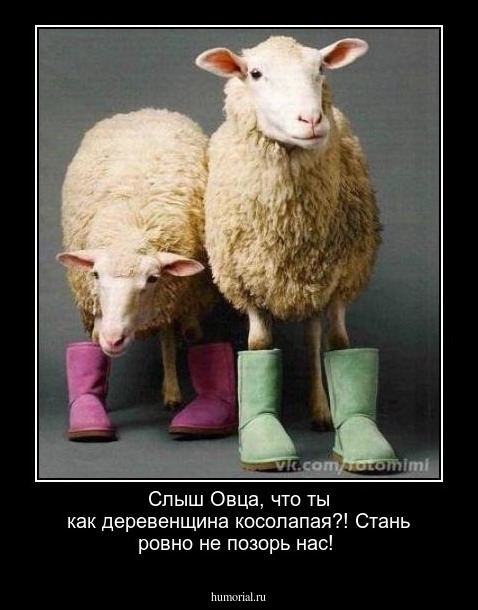 Слыш Овца, что ты как деревенщина косолапая?! Стань ровно не позорь нас!