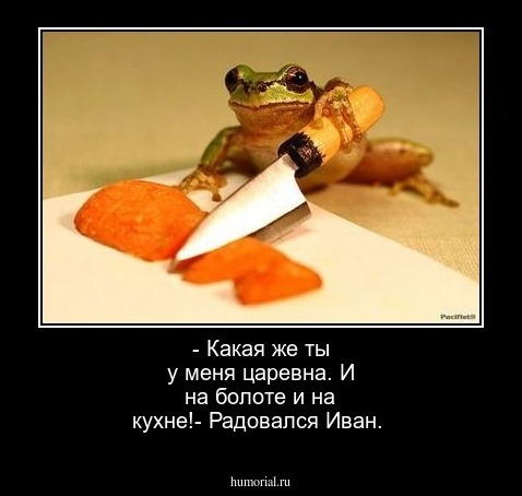 - Какая же ты у меня царевна. И на болоте и на кухне!-  Радовался Иван.