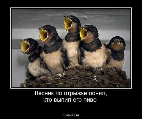 Лесник по отрыжке понял, кто выпил его пиво 