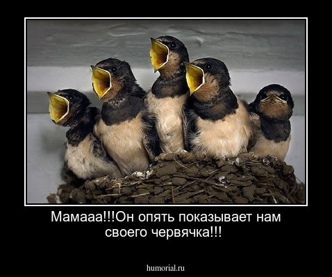 Мамааа!!!Он опять показывает нам своего червячка!!! 