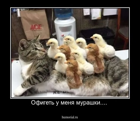 Офигеть у меня мурашки.... 