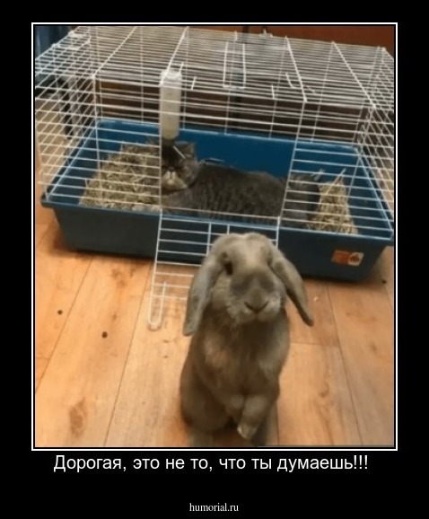 Дорогая, это не то, что ты думаешь!!! 