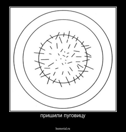 пришили пуговицу