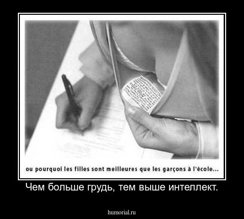 Чем больше грудь, тем выше интеллект.