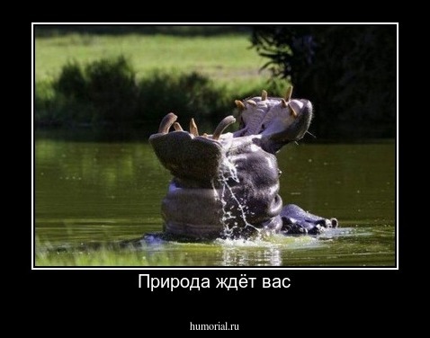 Природа ждёт вас