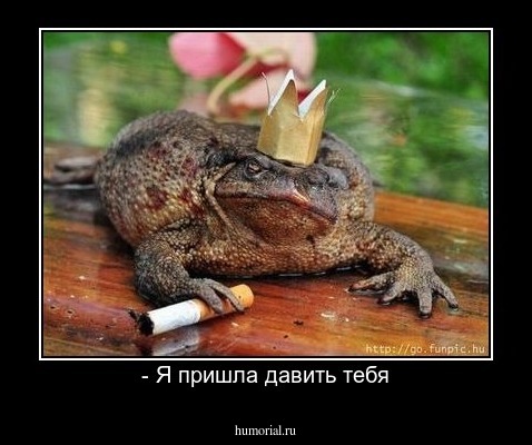 - Я пришла давить тебя