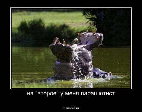 на "второе" у меня парашютист