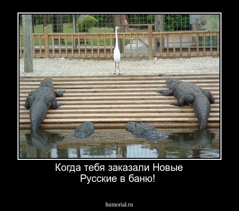 Когда тебя заказали Новые Русские в баню!