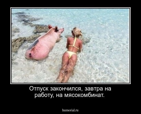 Отпуск закончился, завтра на работу, на мясокомбинат.  