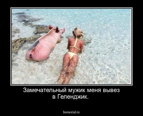 Замечательный мужик меня вывез в Геленджик.