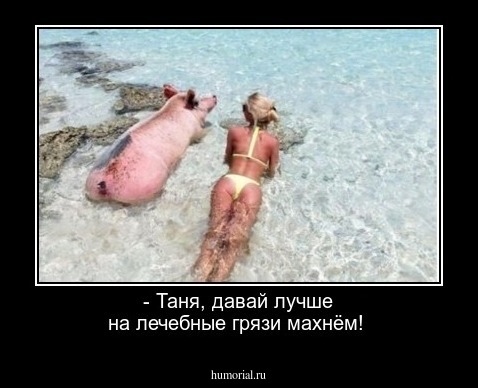 - Таня, давай лучше на лечебные грязи махнём!