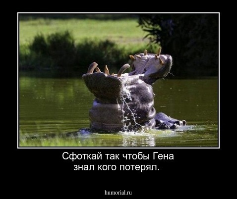 Сфоткай так чтобы Гена знал кого потерял.
