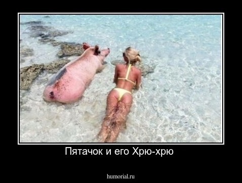 Пятачок и его Хрю-хрю 
