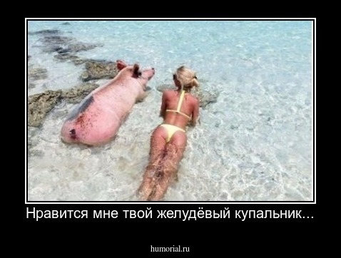Нравится мне твой желудёвый купальник...
