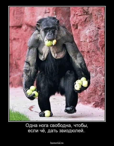 Одна нога свободна, чтобы, если чё, дать звиздюлей.