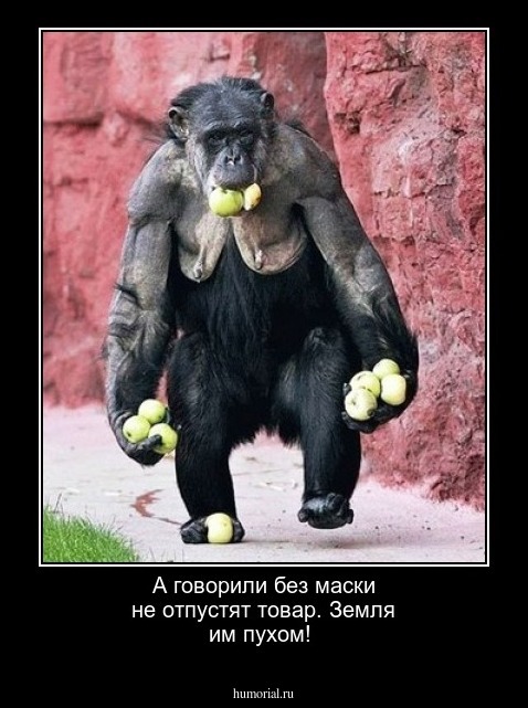 А говорили без маски не отпустят товар. Земля им пухом! 