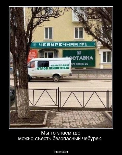 Мы то знаем где можно съесть безопасный чебурек.
